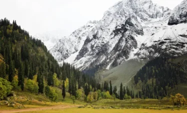 3 Days / 2 Nights Shimla – Kullu – Manali Tour Package